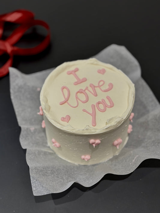 Bento Cake Workshop